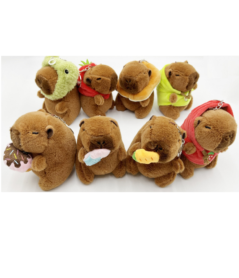 카피바라 대표.png