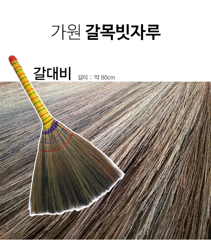 51030036.jpg