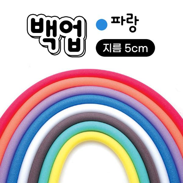 백업/지름5cm/파랑