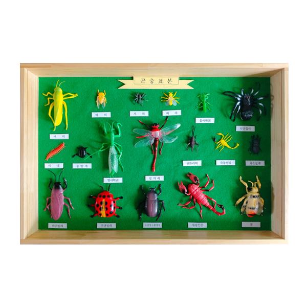 [291206]곤충모형표본/jo-501