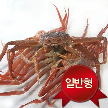 노가네 영덕 일반형 대게3미(마리당350~400g내외/수율60%)