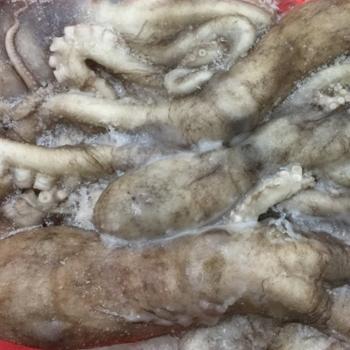 싱싱해 냉동 낙지(대)1kg내외(2~4미내외)