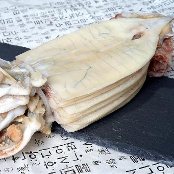 동해안 오징어 피데기(대)10미(1.3kg내외)