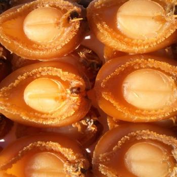 전복마을 건전복100g(9~11미내외)