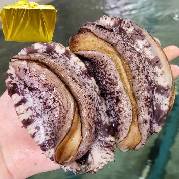 완도맘 활전복1kg(9~10미)보자기포장