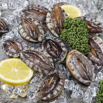 완도맘 활전복1kg(6~7미)부직포포장