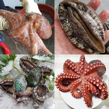 통영바다마켓 돌문어 참전복세트(문어1kg내외/전복1kg내외)