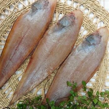 녹동수산 고흥 반건조 참서대3미(23~27cm내외)