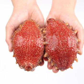 숨비해물 거제도 해녀 자연산 홍해삼1kg(2~5미내외)