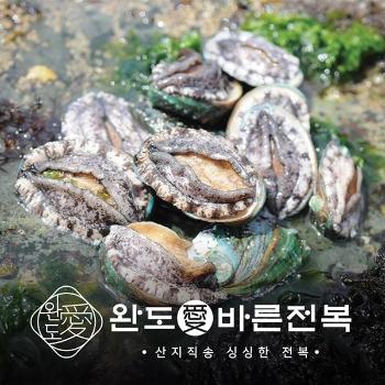바른전복 완도 활전복1kg(15미)