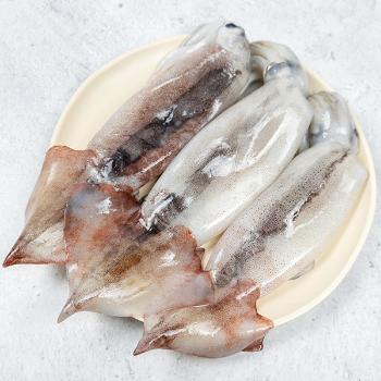 통영원 오징어(급냉)1kg(2~10미내외)