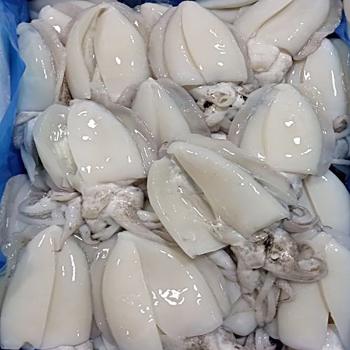 녹동수산 국내산 급냉 손질갑오징어1kg(4~6미)