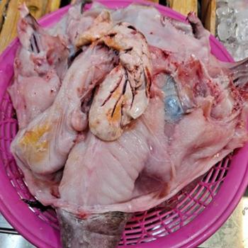 전복마을 생물 아귀(아구)3kg(1-2마리내외)