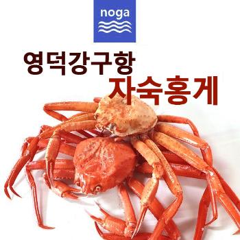 노가네 영덕 A급 프리미엄 자숙홍게3kg(8~12미내외/수율80%)