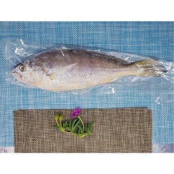 밥강도 급냉 참조기(중)3미(240g내외)