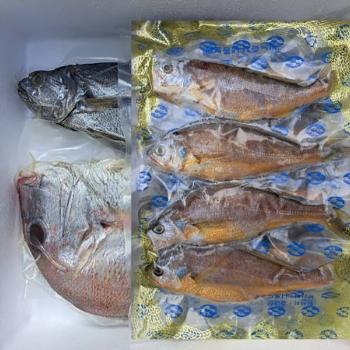 녹동수산 반건조 생선 선물세트(참돔/참조기/민어)