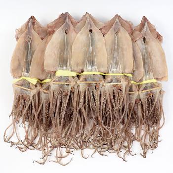더줌 동해 해풍 자연건조 오징어(소)20미(1kg)