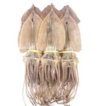 더줌 동해 해풍 자연건조 오징어10미(650g)