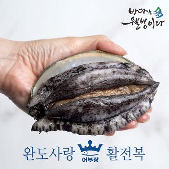 완도사랑 활전복1kg(7~8미)