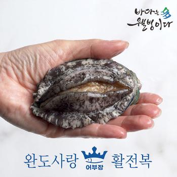 완도사랑 활전복1kg(18~20미)