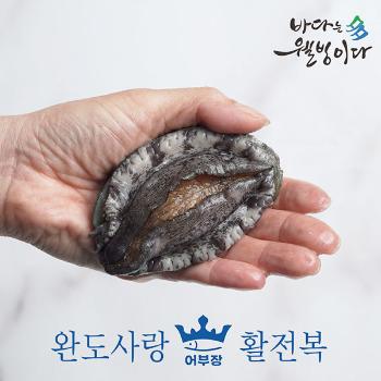 완도사랑 활전복1kg(20~25미)