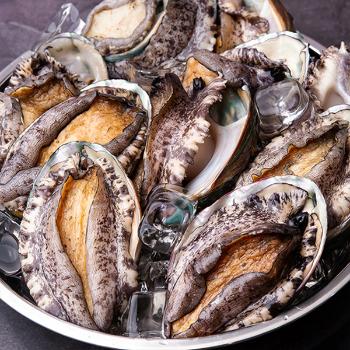 자연담음 해초먹은 완도 활전복1kg(9~10미)