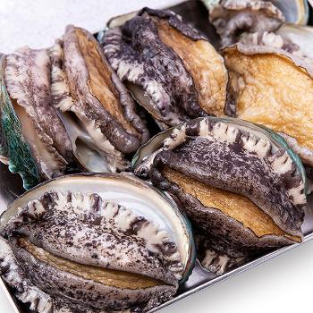 자연담음 해초먹은 완도 활전복1kg(10~11미)