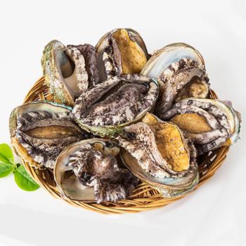청산도 완도 활전복 선물세트1kg(10~11미내외)