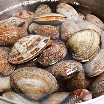 수산인 통영 바지락1kg