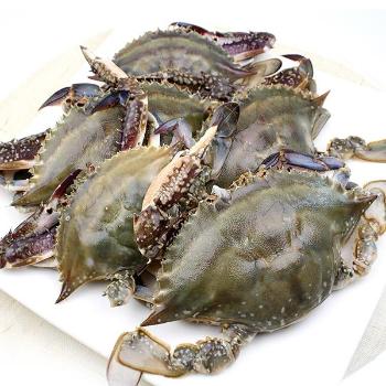 씨푸드월드 서천 가을숫꽃게3kg(9~12미내외)