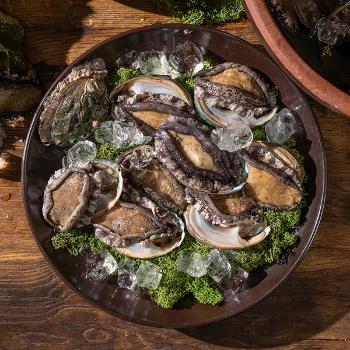 상어마켓 완도 참전복1kg(14~15미)