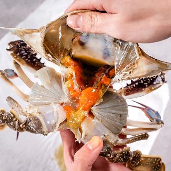 춘백이네 서해 급냉 암꽃게2kg(12~15미내외)