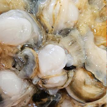 수산인 통영 홍가리비살1팩(400g)