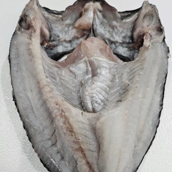 수산인 반건조 우럭2미(마리당 손질전400~480g내외)