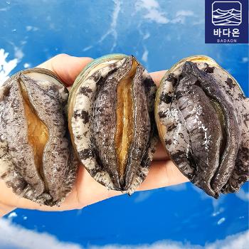 바다온 완도활전복1kg(9~10미)