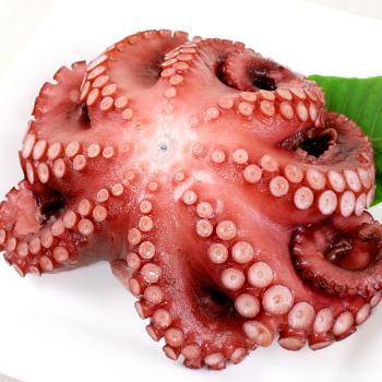 남해바다먹기 수비드 돌문어1kg(1~2미/실중량700g내외)
