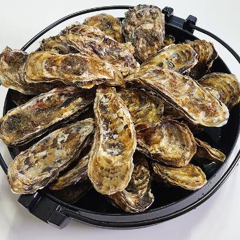 통영바다마켓 각굴(석화)3kg(가열조리용)