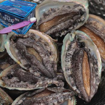 해스레 명품전복세트(난초)참전복2kg(18미)