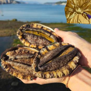 동백해녀 자연산 전복(대)1kg(6~8미)보자기포장