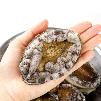 수민이네 완도 활전복1kg(6~7미내외)