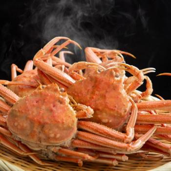 톡톡푸드 구룡포 프리미엄 생물대게(중)3미(마리당350g내외/수율90%내외)