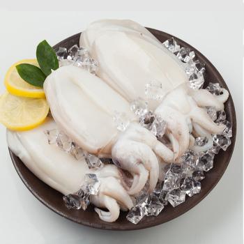 녹동수산 국내산 급냉 손질갑오징어(대)800g(2~3미내외)
