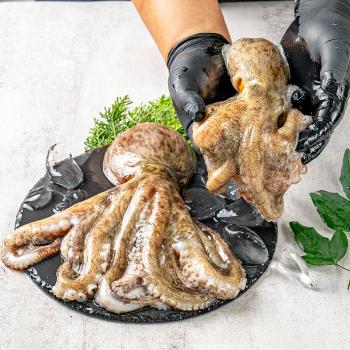 강성푸드 자연산 돌문어1kg(1~4미)