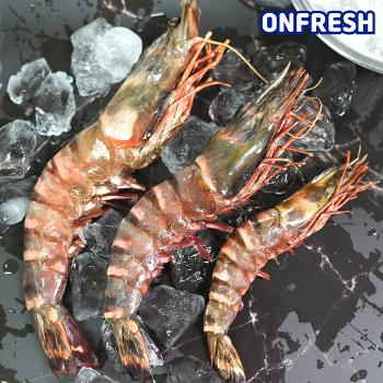 연프레시 블랙타이거새우(냉동)500g(12미)