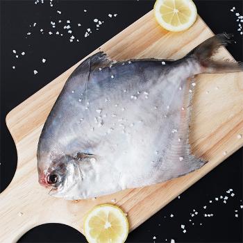 남도삼대농수산 국내산 참병어(횟감용)소(250~290g내외)