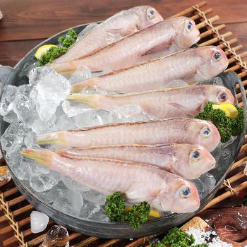 지앤케이 제주 통옥돔300g(2마리)x4팩