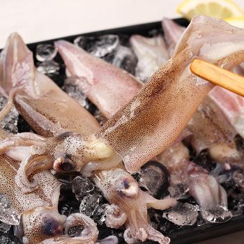 숨비해물 자연산 급냉 한입 한치500g