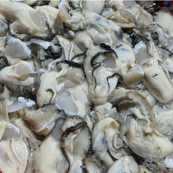 일등푸드 통영 최상급 깐생굴1kg(중소)