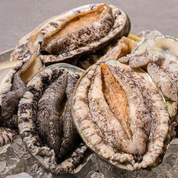 완도맘 활전복1kg(5~6미) 
