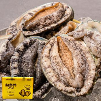 완도맘 활전복1kg(5~6미)부직포포장